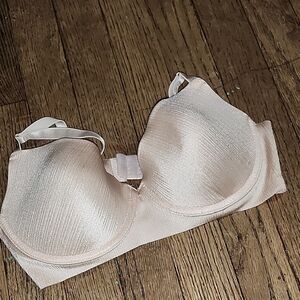 Vince Camuto Shimmering Cream Bra